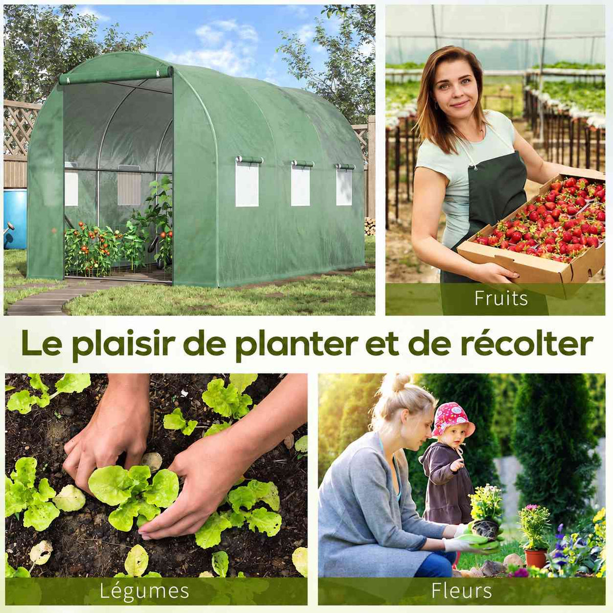 Serre tunnel et exemples de cultures de fruits, légumes et fleurs