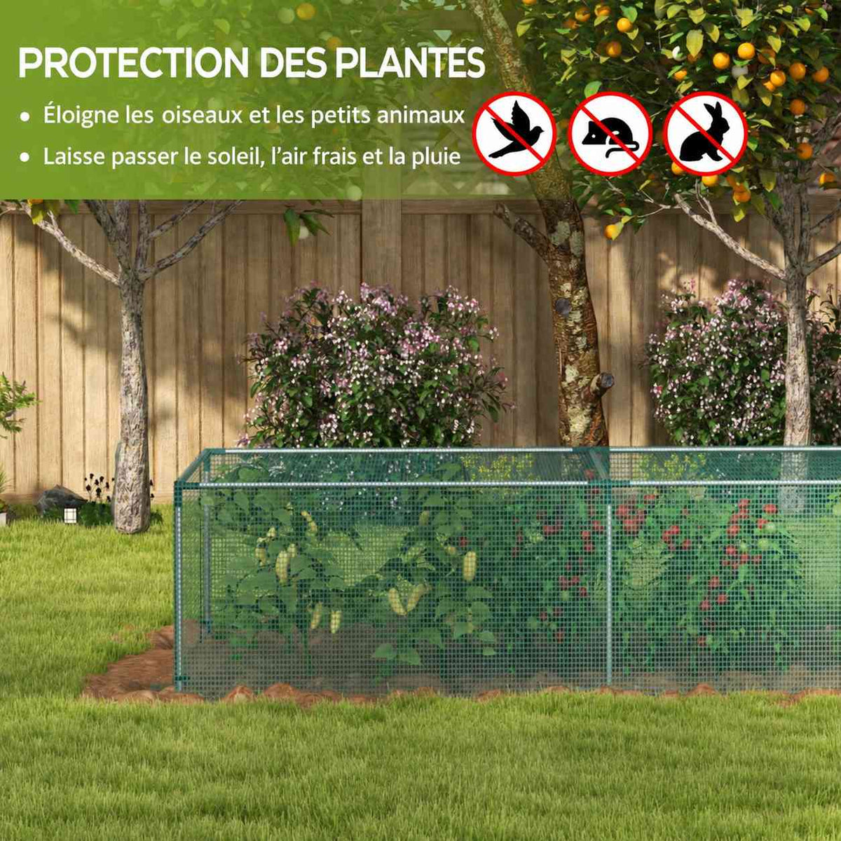 Cage basse à filet vert protégeant les plantes