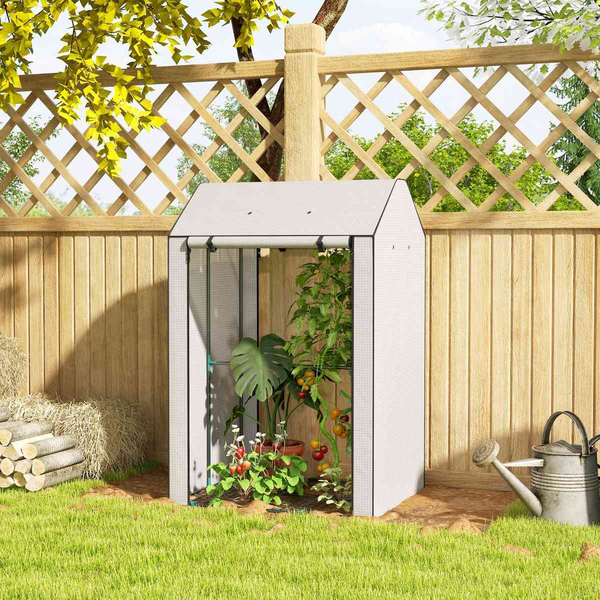 Serre blanche avec tomates et fleurs près d’une clôture