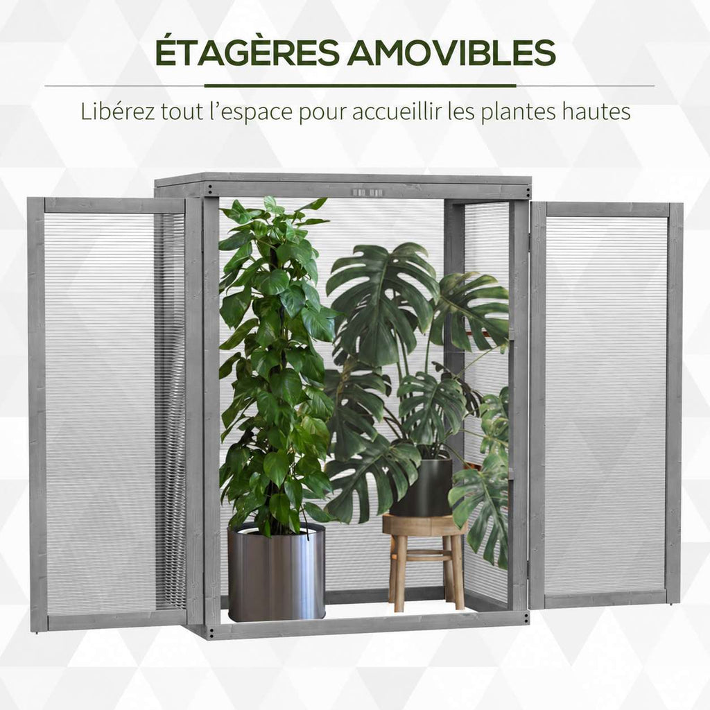 Serre en bois gris sans étagères avec une grande plante à l’intérieur