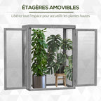 Serre en bois gris sans étagères avec une grande plante à l’intérieur