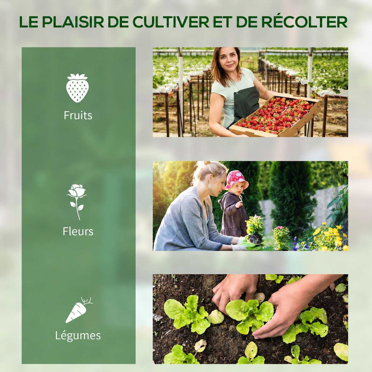 Montage illustrant la récolte de fruits, la culture des fleurs et des légumes