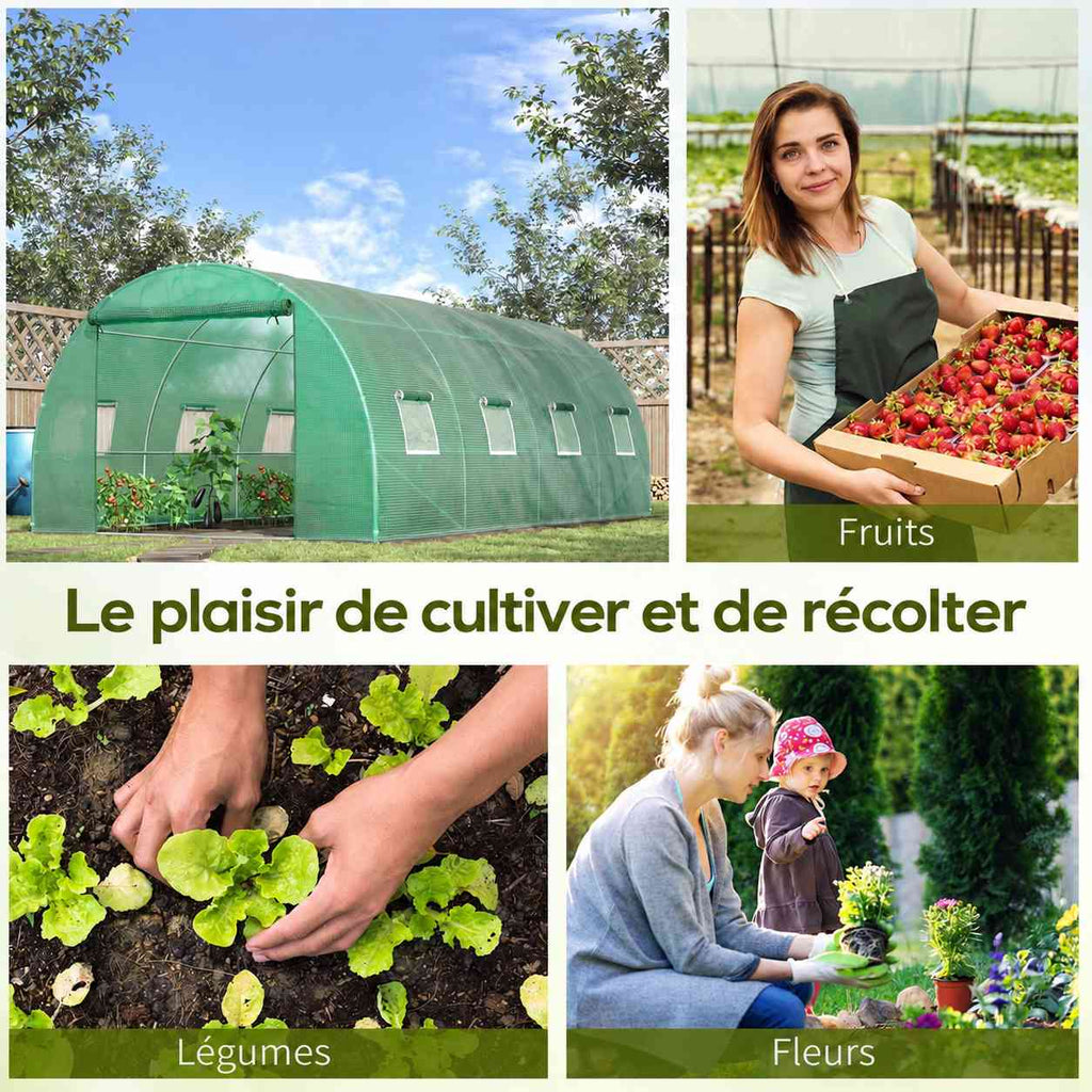 Serre tunnel et exemples de cultures de fruits, légumes et fleurs