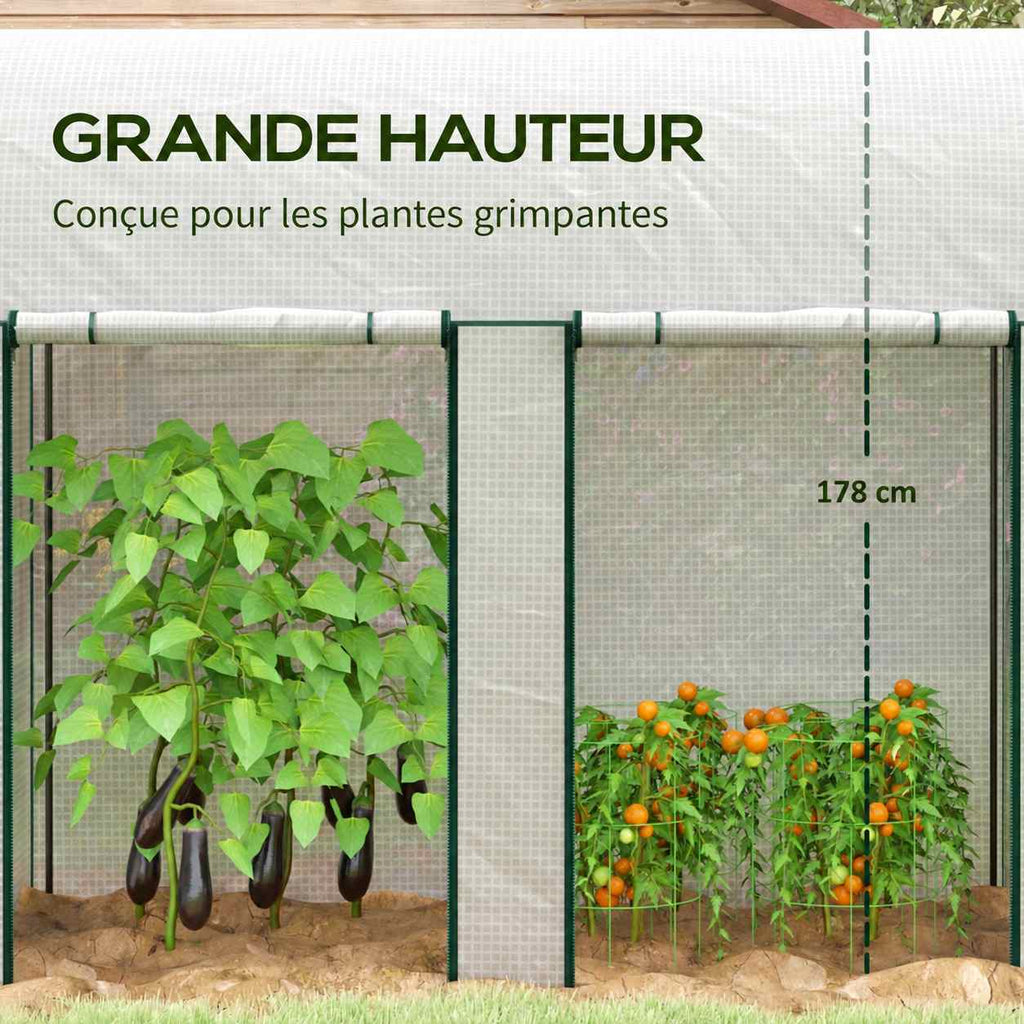 Plantes hautes sous la serre blanche à deux ouvertures