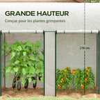 Plantes hautes sous la serre blanche à deux ouvertures