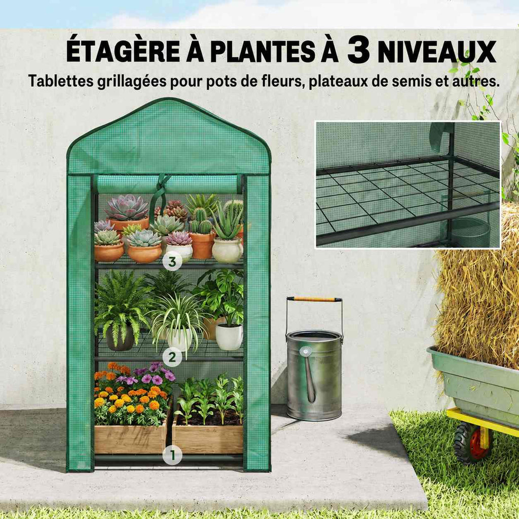 Mini serre verte avec trois niveaux de plantes en pots