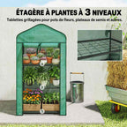 Mini serre verte avec trois niveaux de plantes en pots
