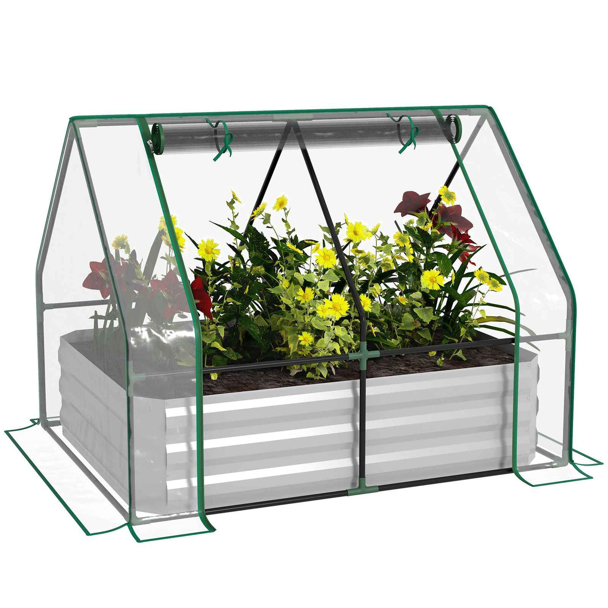 Carré potager argenté avec mini-serre transparente et plantes fleuries