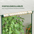 Porte blanche enroulée au-dessus d’un pied d’aubergines