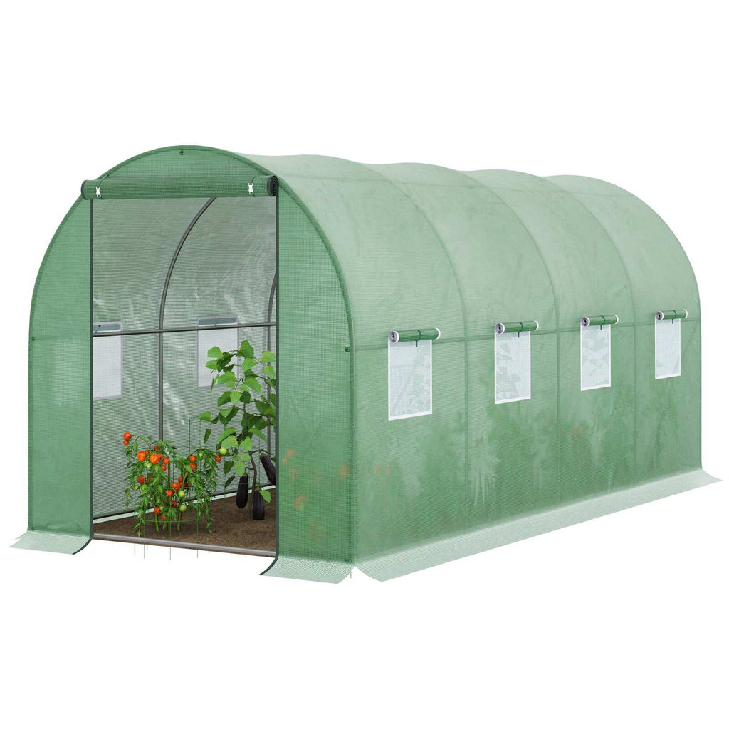 Serre tunnel verte avec plants de tomates visibles par la porte ouverte