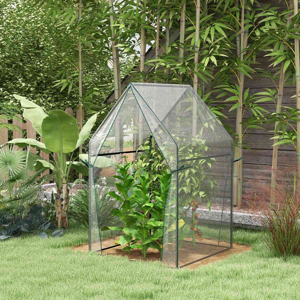 Serre transparente abritant une plante haute au jardin