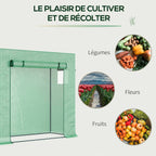 Serre verte et illustrations de légumes, fleurs et fruits
