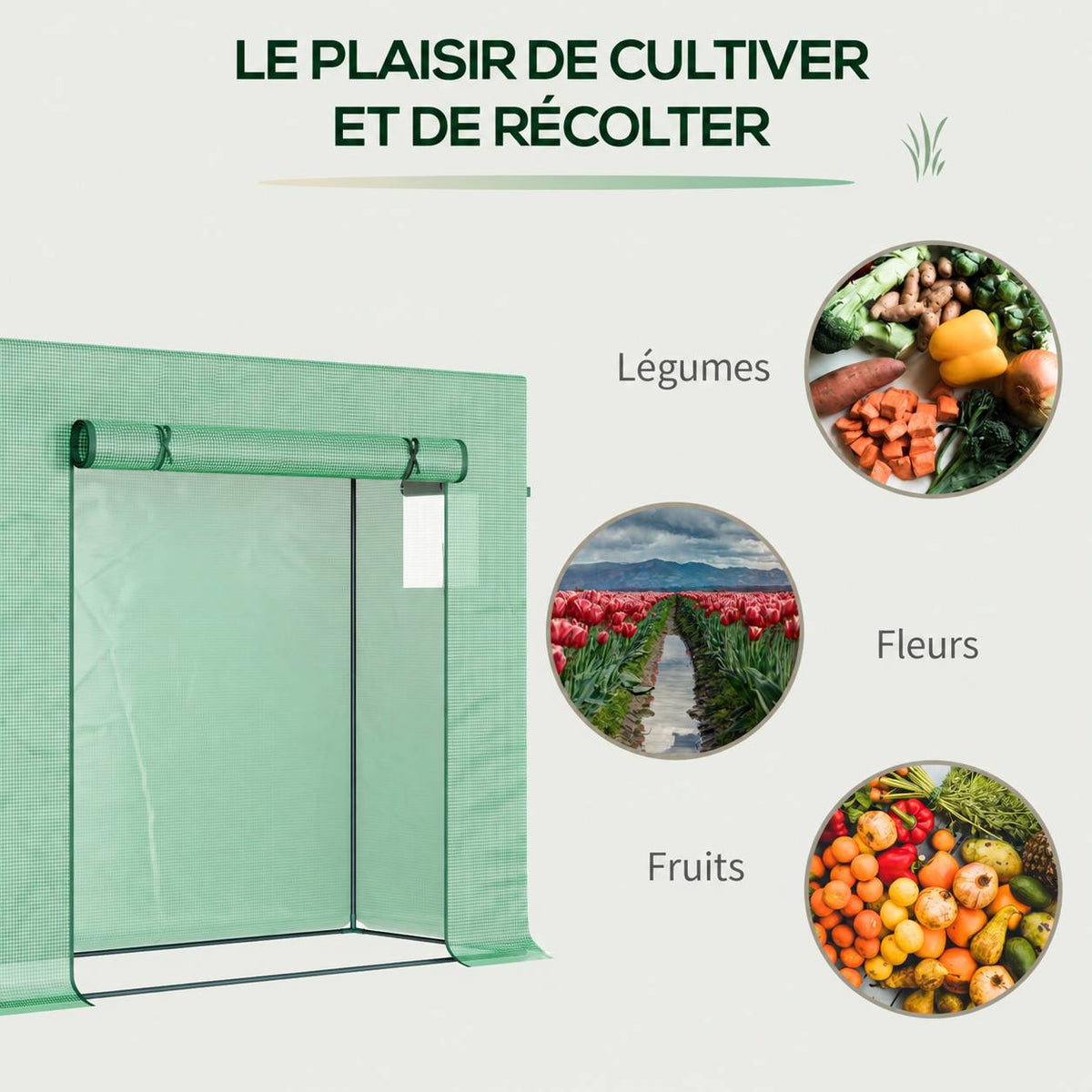 Serre verte et illustrations de légumes, fleurs et fruits