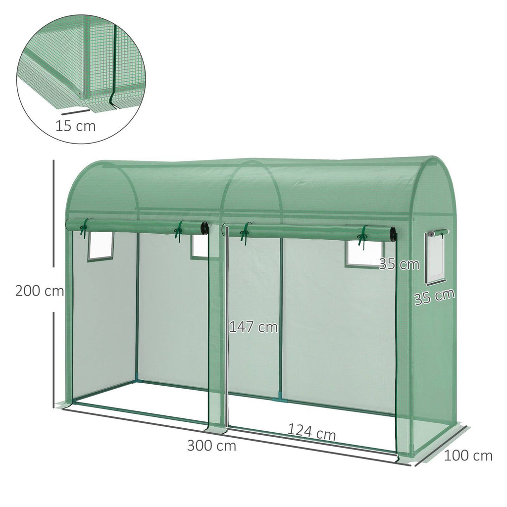 Dimensions de la serre à tomates verte : 300 x 100 x 200 cm