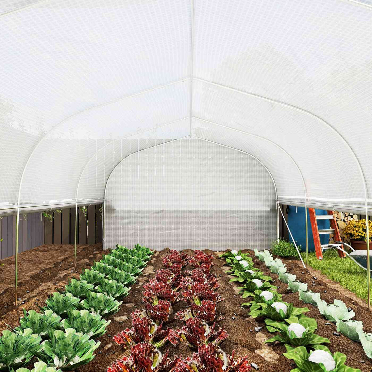 Rangées de légumes à l’intérieur d’une serre tunnel blanche