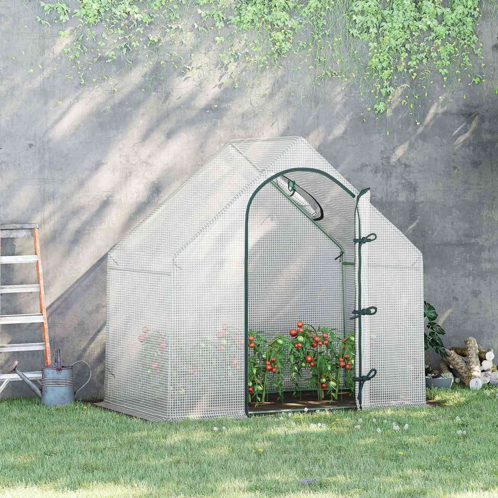 Serre à tomates blanche avec plantes au jardin près d’un mur