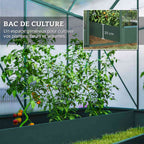 Bac de culture vert avec plants de tomates dans la serre