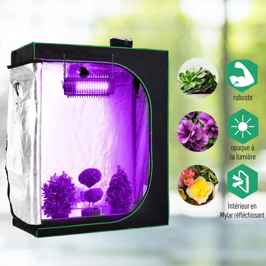 Chambre de culture éclairée en violet et exemples de plantes