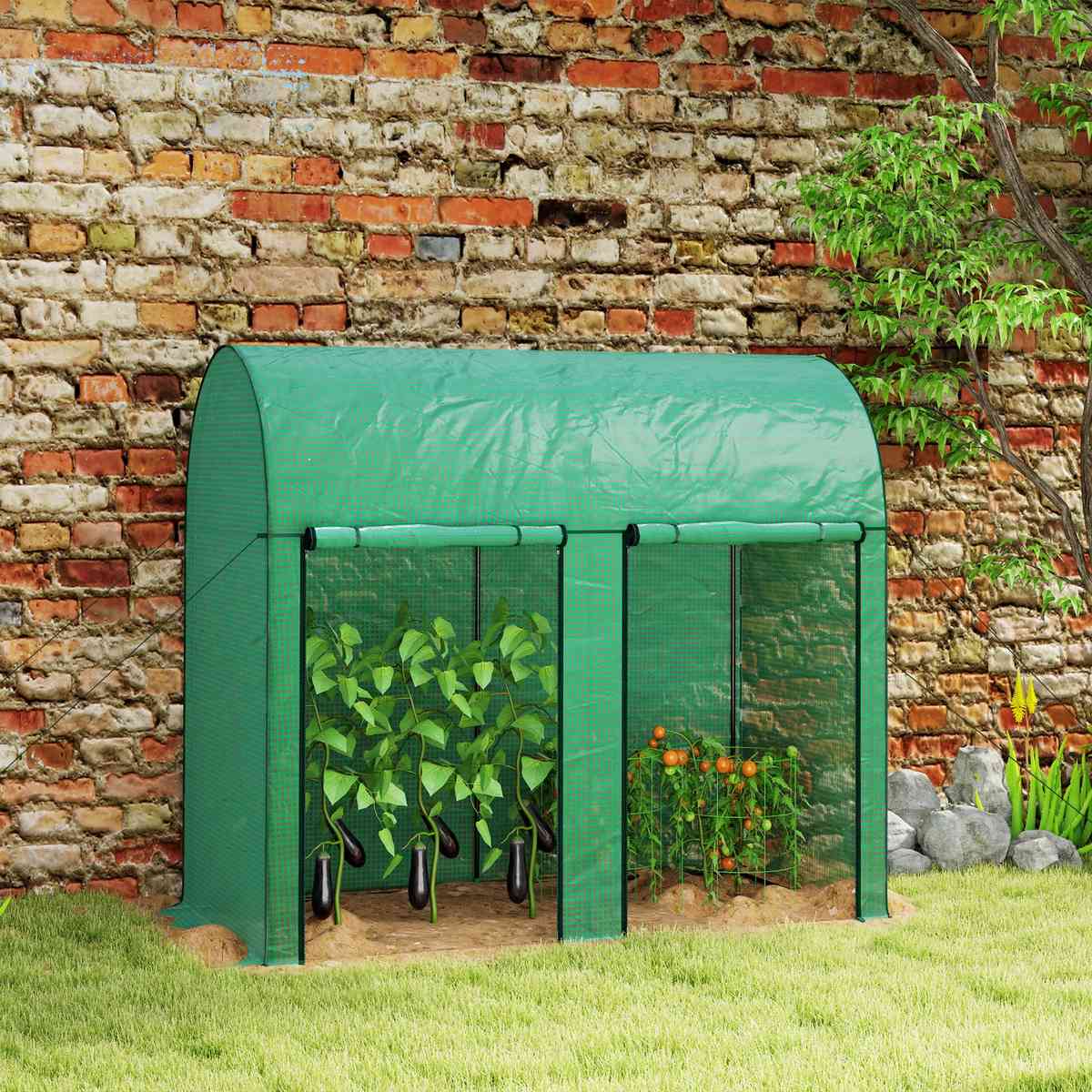 Serre verte avec légumes devant un mur en briques