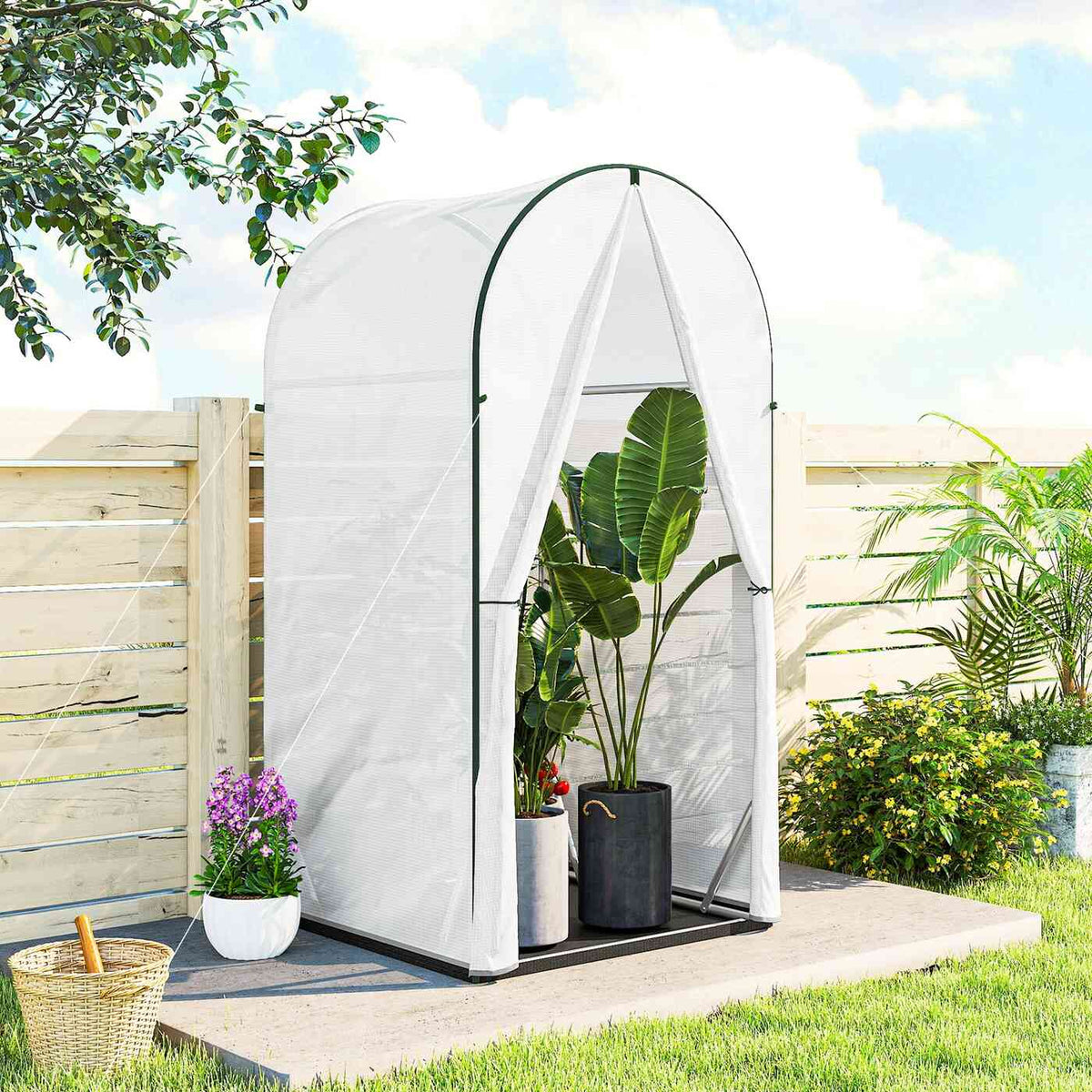 Petite serre blanche contenant une grande plante en pot dans le jardin