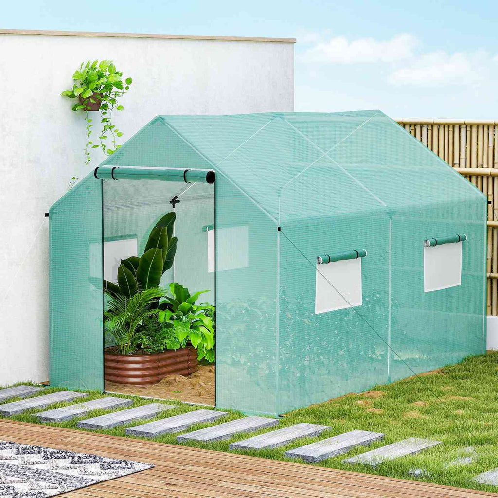 Serre verte avec plantes près d’un mur blanc