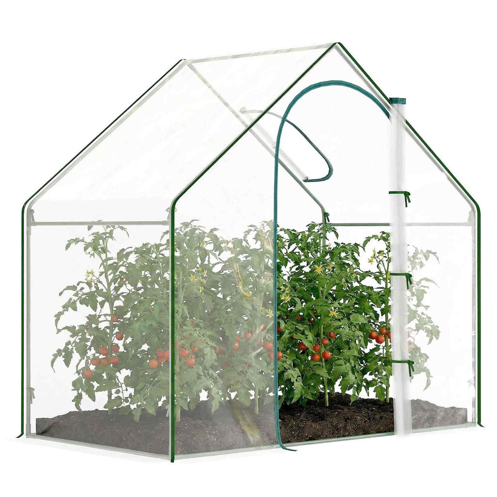 Serre transparente avec plantes et porte à fermeture éclair