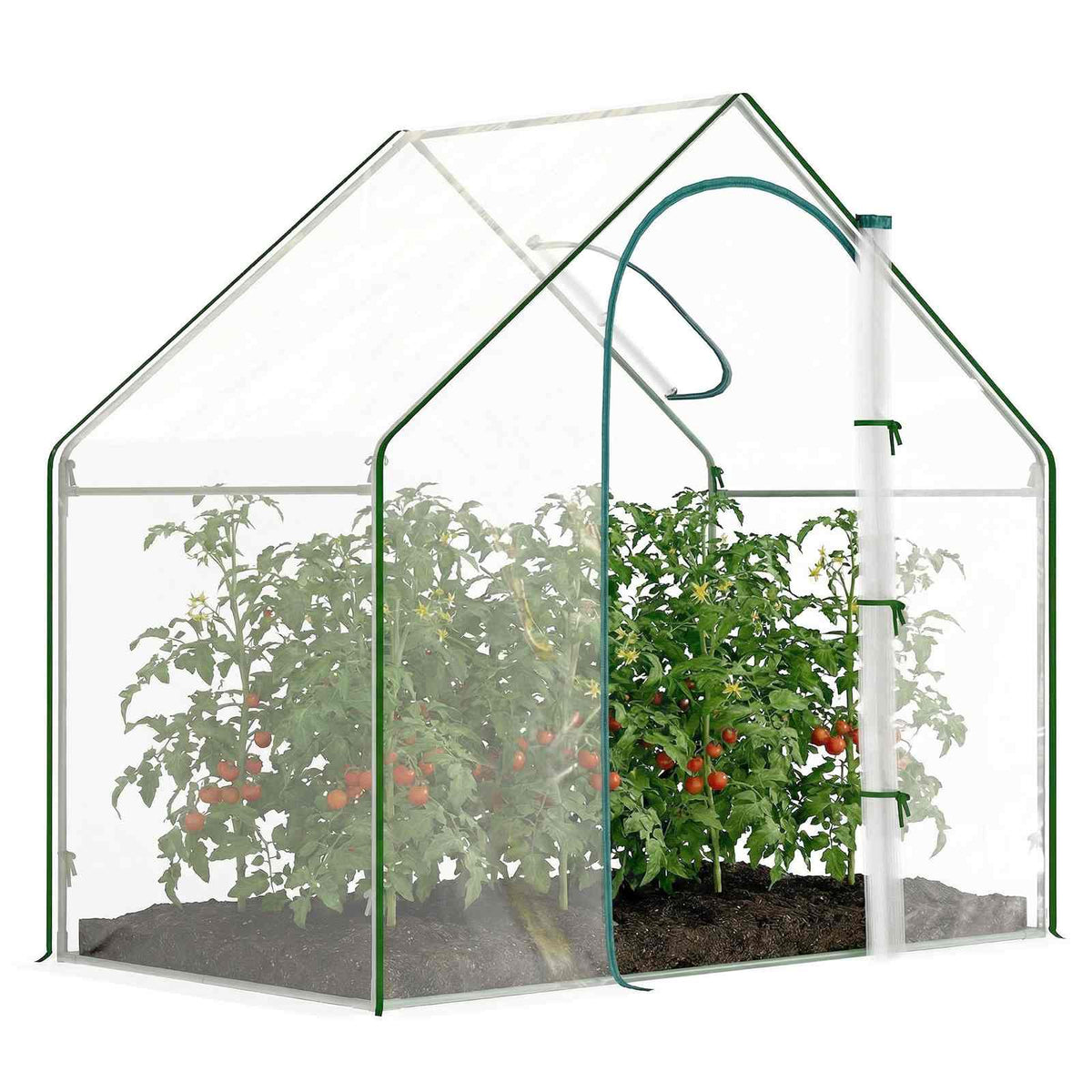 Serre transparente avec plantes et porte à fermeture éclair