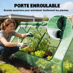 Jardinière prenant soin de plantes sous la serre basse