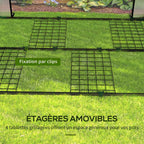 Quatre tablettes grillagées amovibles de la serre à tomates