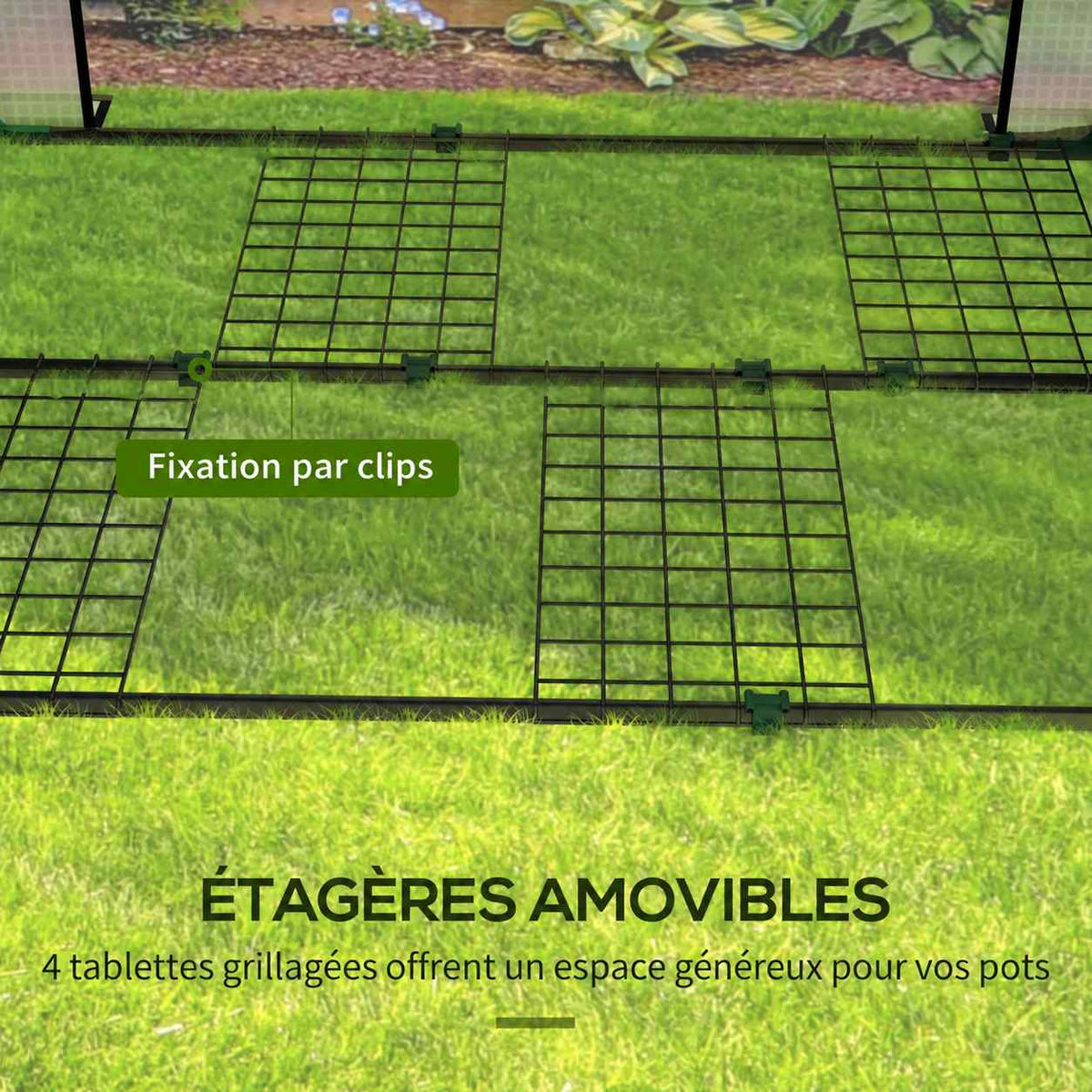 Quatre tablettes grillagées amovibles de la serre à tomates