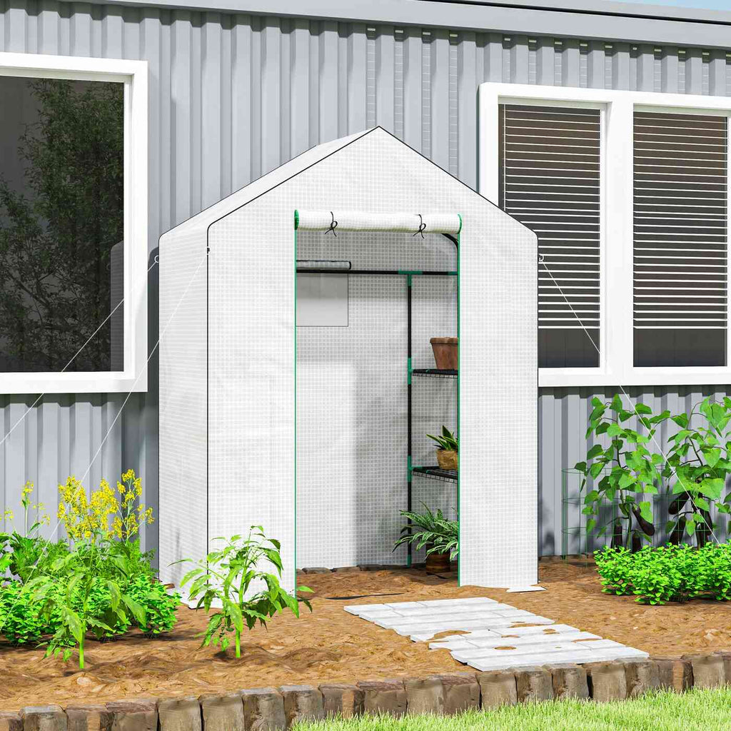 Petite serre blanche avec plantes sur étagères près d’une maison