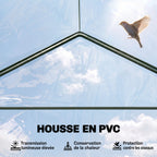 Vue sous le toit transparent de la petite serre de jardin