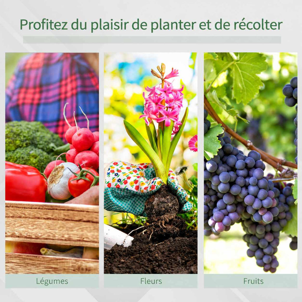 Exemples de cultures de légumes, fleurs et raisins sous serre