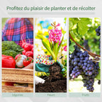Exemples de cultures de légumes, fleurs et raisins sous serre