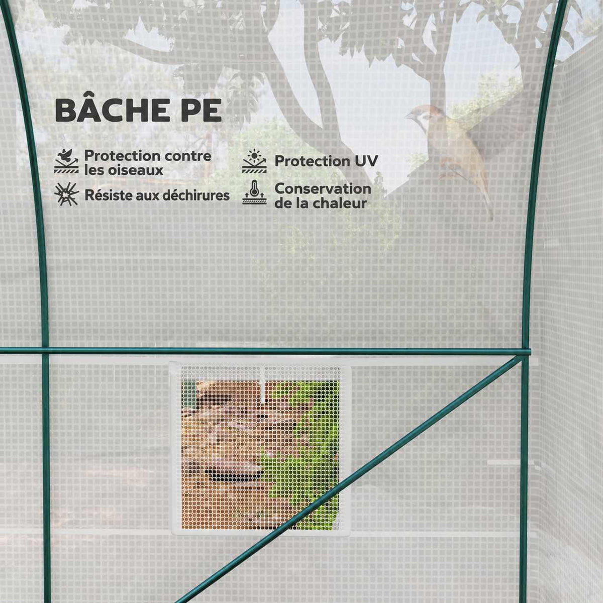 Vue intérieure du cadre et de la bâche blanche de la serre tunnel