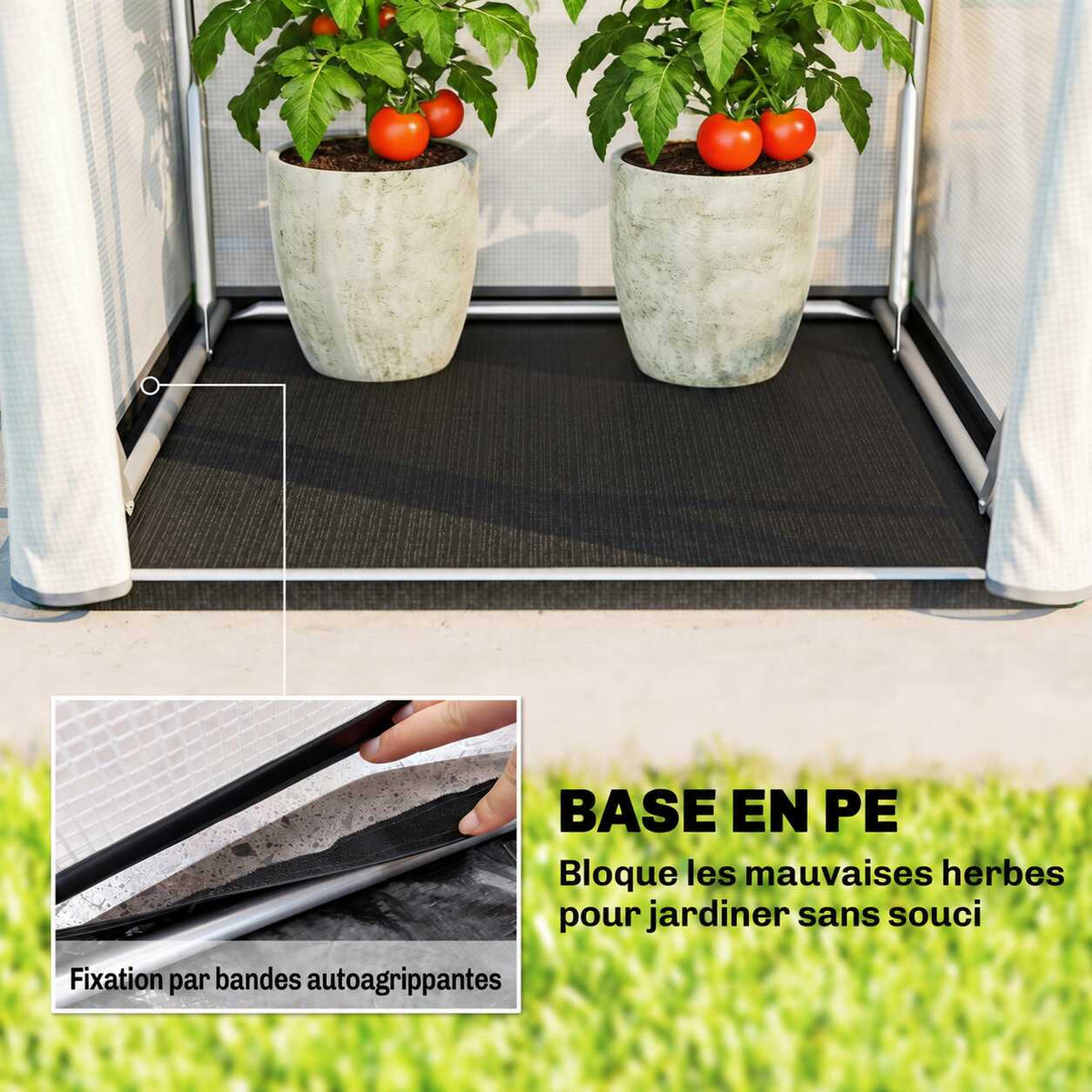Tapis de sol noir de la petite serre sous deux pots de tomates