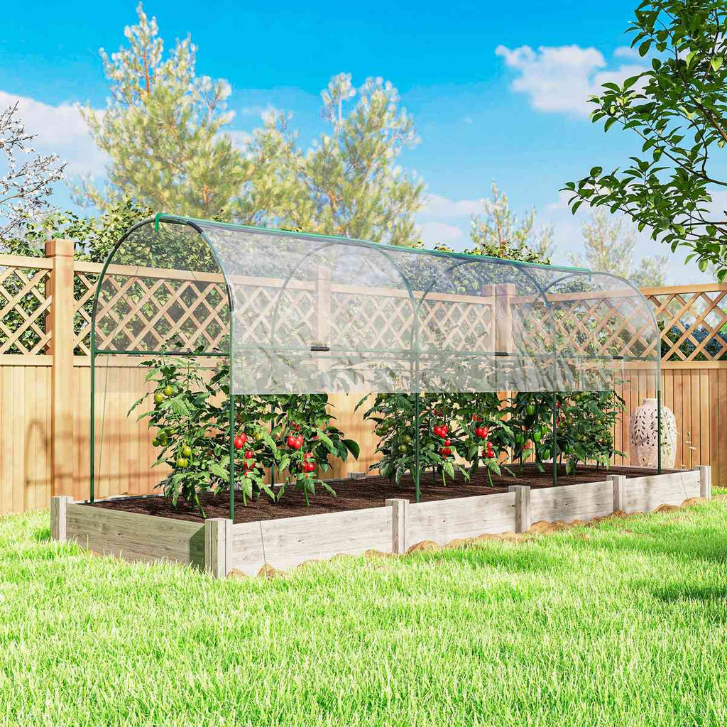 Abri transparent au-dessus de bacs potagers