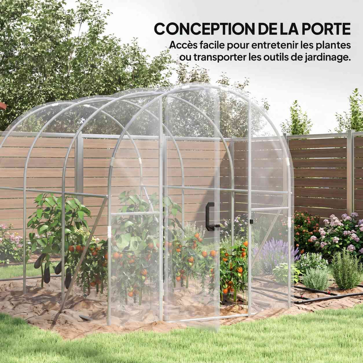 Serre transparente avec porte ouverte et cultures