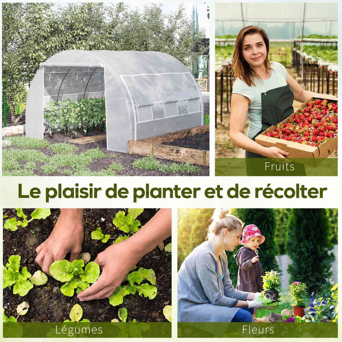 Serre blanche et scènes de récolte et de plantation