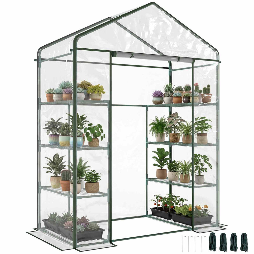 Petite serre transparente avec étagères latérales garnies de plantes