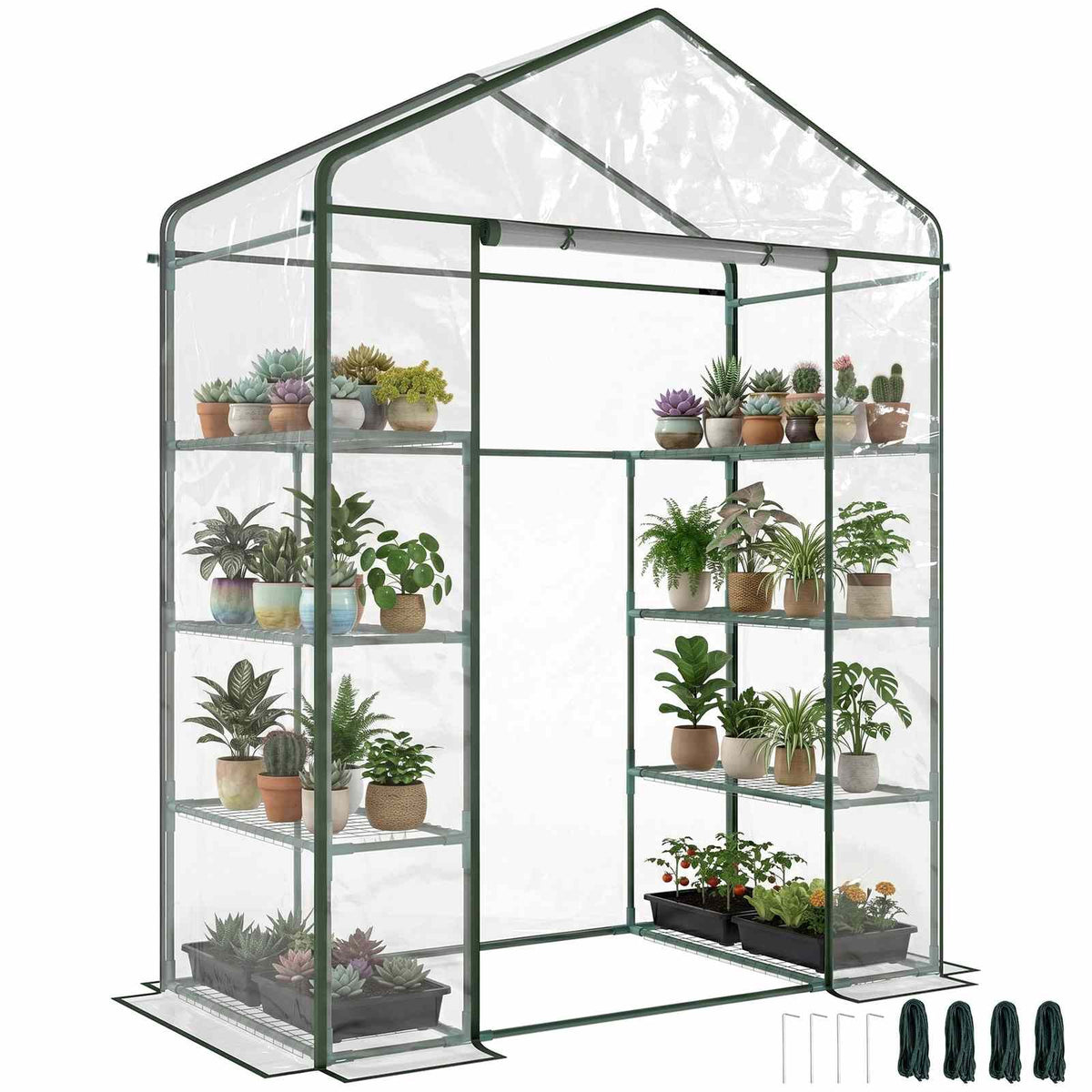 Petite serre transparente avec étagères latérales garnies de plantes