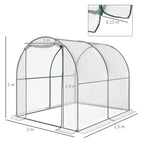 Dimensions de la serre transparente : 2,5 x 2 x 2 m