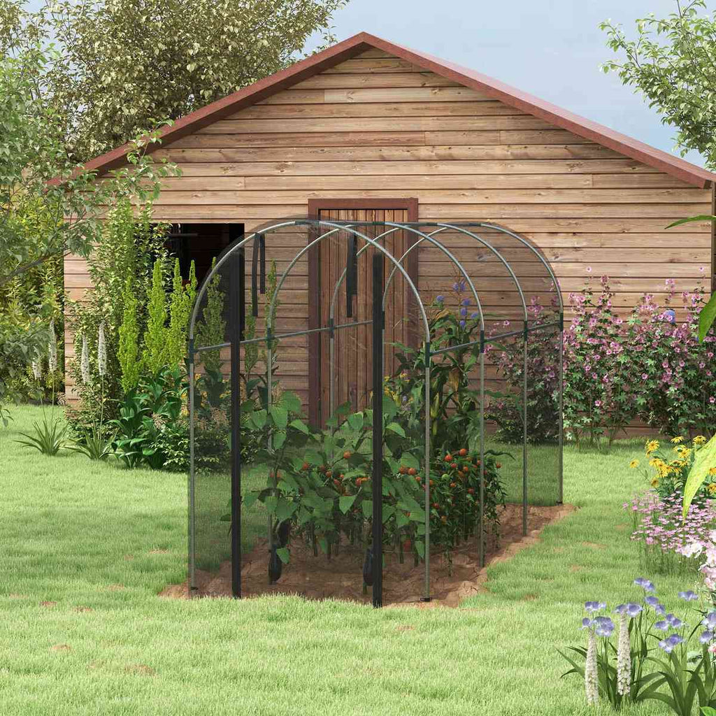 Cage fruitière noire avec plantes près d’un abri en bois