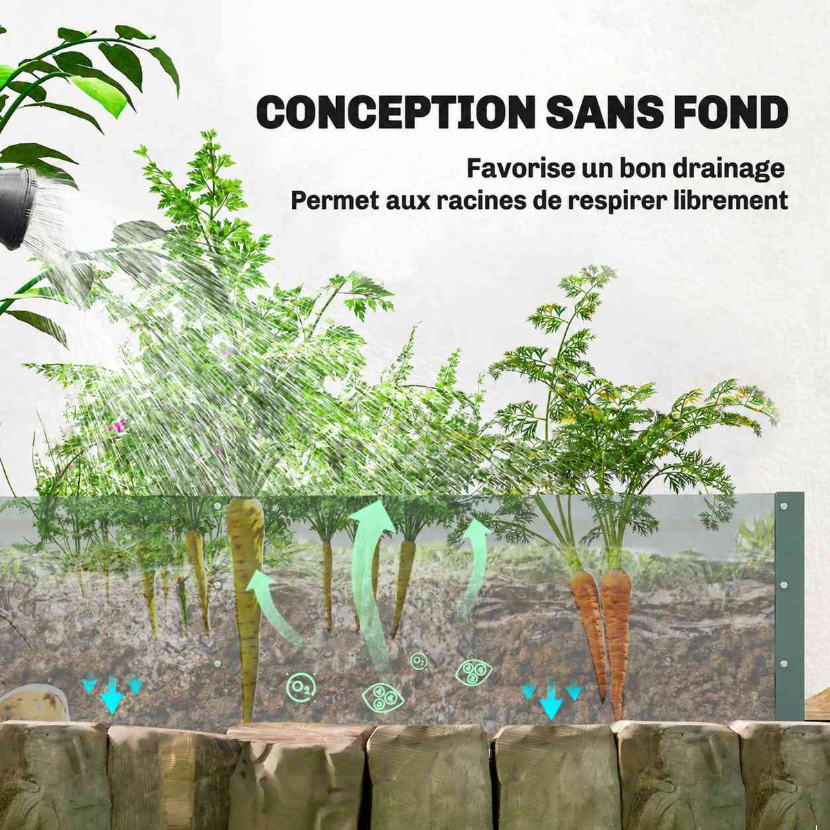 Coupe du sol montrant les racines et le drainage d’un bac potager sans fond