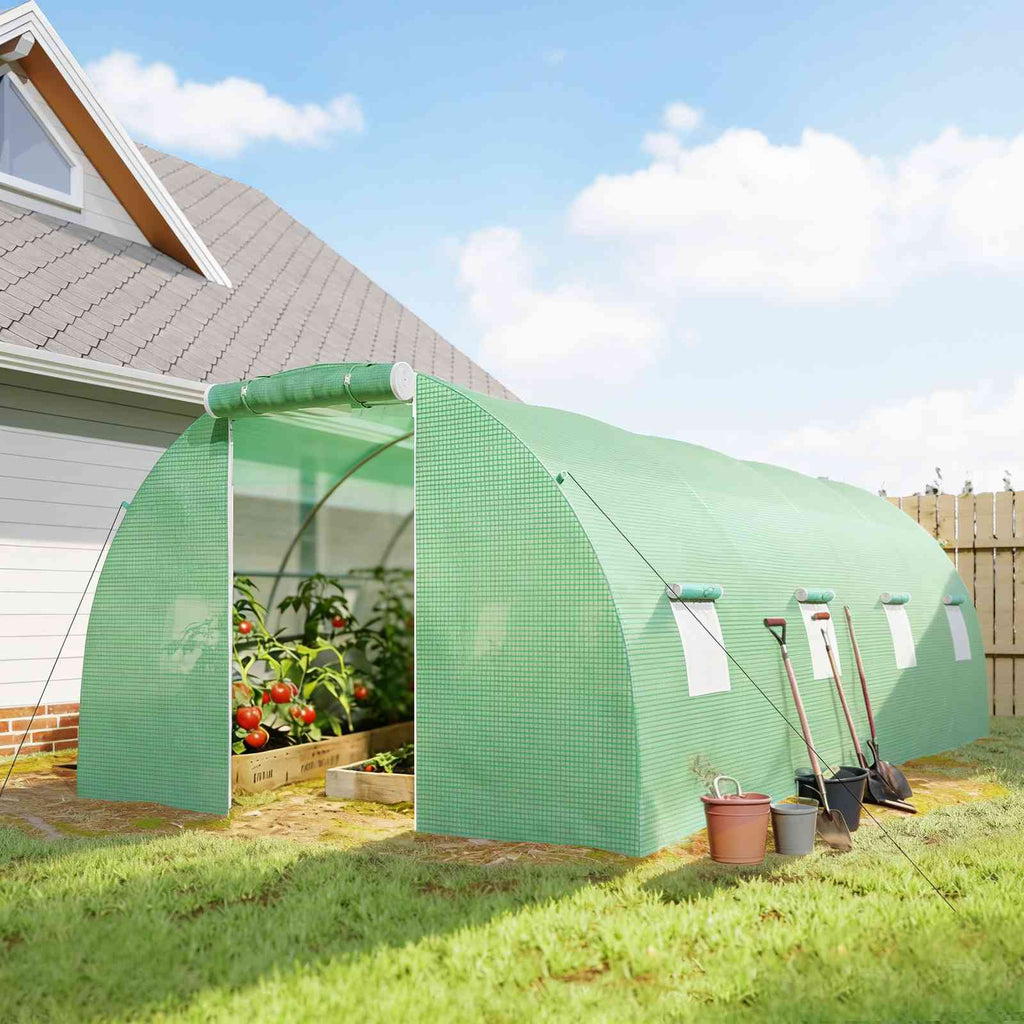 Serre verte avec cultures près d’une maison