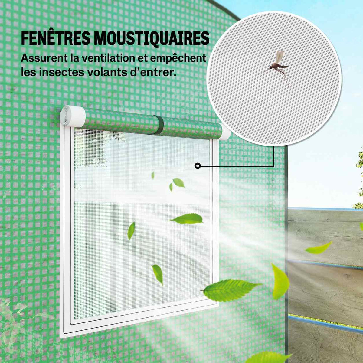 Détail d’une fenêtre à moustiquaire sur la serre verte
