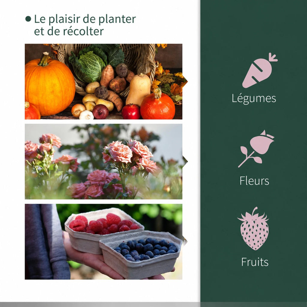 Exemples de légumes, fleurs et petits fruits à cultiver sous serre