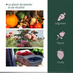 Exemples de légumes, fleurs et petits fruits à cultiver sous serre