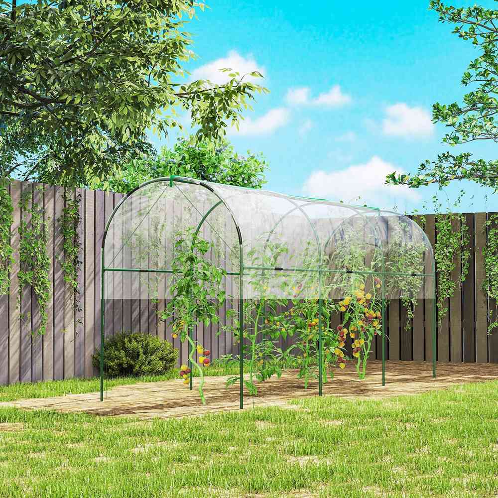 Abri transparent au-dessus de tomates près d’une clôture