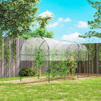 Abri transparent au-dessus de tomates près d’une clôture
